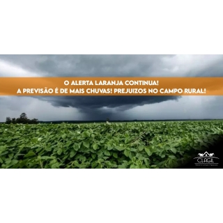 O Alerta Laranja continua! A previsão é de mais chuvas! Prejuízos no Campo Rural!