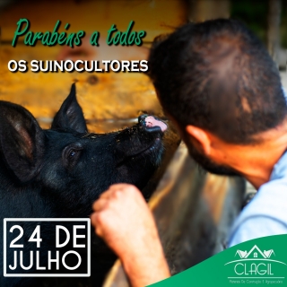 24 de Julho - "Dia do Suinocultor". E a data é marcada com recorde de exportação e status sanitários exemplares!